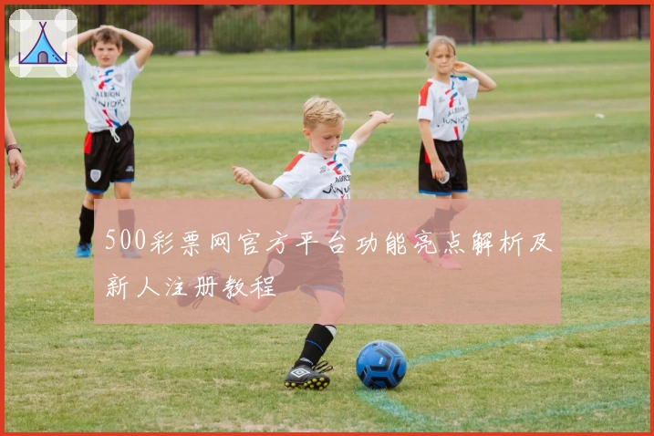 500彩票网官方平台功能亮点解析及新人注册教程